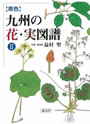 絵合わせ　九州の花図鑑